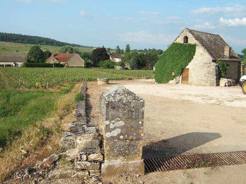 2010-05- (162).JPG